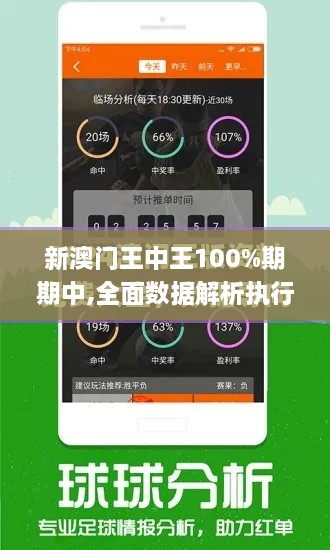 新澳门王中王100%期期中,全面数据解析执行_PT3.210-3