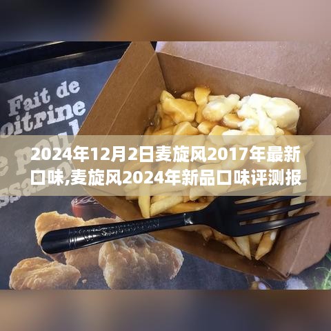 麦旋风新品口味评测报告，探寻经典与创新交融的味蕾盛宴，展望2024年新品口味展望