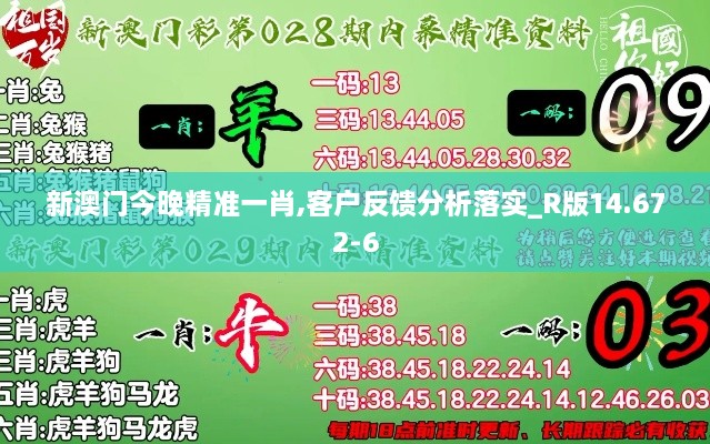 新澳门今晚精准一肖,客户反馈分析落实_R版14.672-6