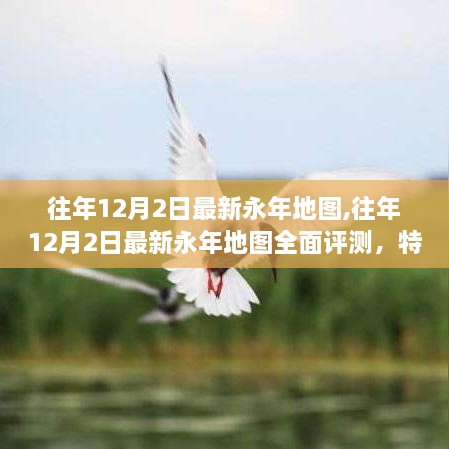 往年12月2日最新永年地图详解，特性、体验、对比及用户群体分析评测报告