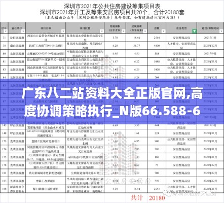 广东八二站资料大全正版官网,高度协调策略执行_N版66.588-6