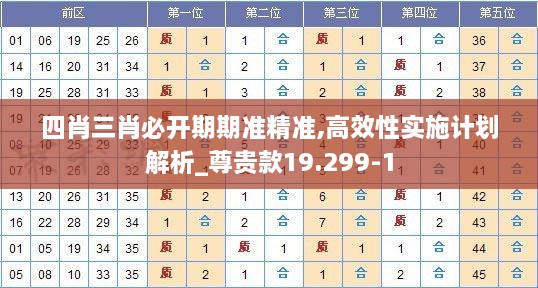 四肖三肖必开期期准精准,高效性实施计划解析_尊贵款19.299-1