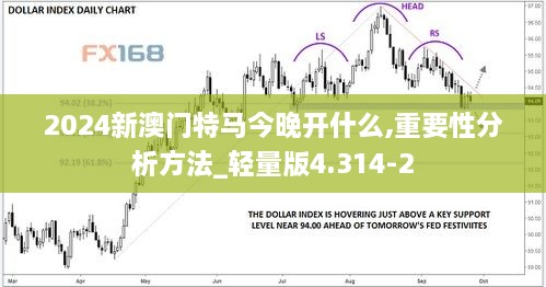 2024新澳门特马今晚开什么,重要性分析方法_轻量版4.314-2