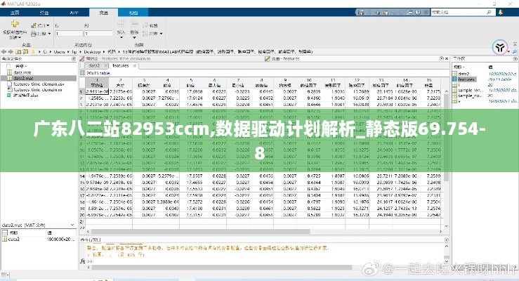 广东八二站82953ccm,数据驱动计划解析_静态版69.754-8