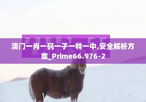 澳门一肖一码一孑一特一中,安全解析方案_Prime66.976-2