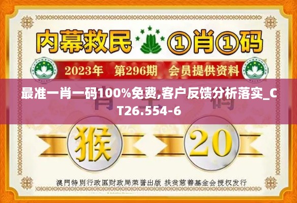 最准一肖一码100%免费,客户反馈分析落实_CT26.554-6