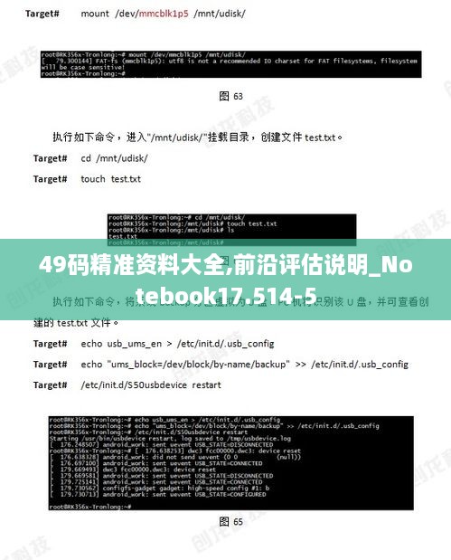 49码精准资料大全,前沿评估说明_Notebook17.514-5