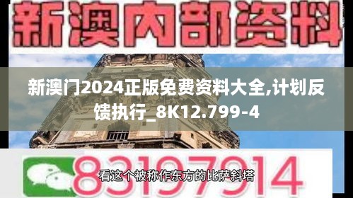 新澳门2024正版免费资料大全,计划反馈执行_8K12.799-4