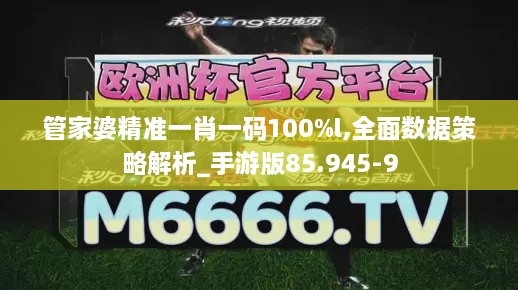 管家婆精准一肖一码100%l,全面数据策略解析_手游版85.945-9