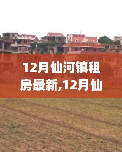 12月仙河镇租房市场深度解析，最新趋势、市场走向与个人决策指南