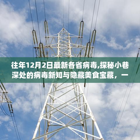 探秘病毒新知与美食宝藏，各省小巷特色小店的奇妙之旅（12月2日更新）