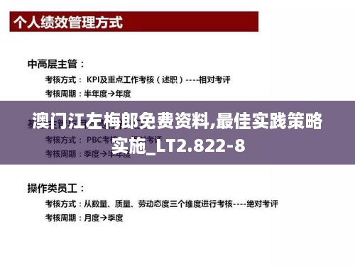 澳门江左梅郎免费资料,最佳实践策略实施_LT2.822-8