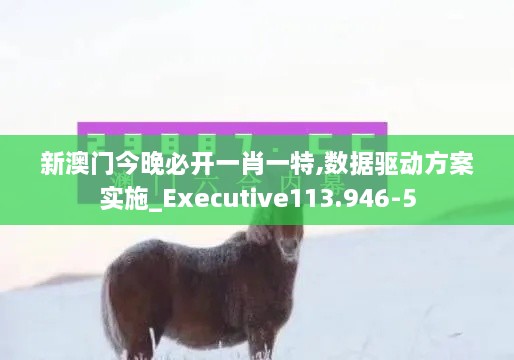 新澳门今晚必开一肖一特,数据驱动方案实施_Executive113.946-5