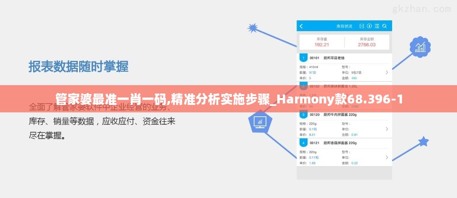 管家婆最准一肖一码,精准分析实施步骤_Harmony款68.396-1