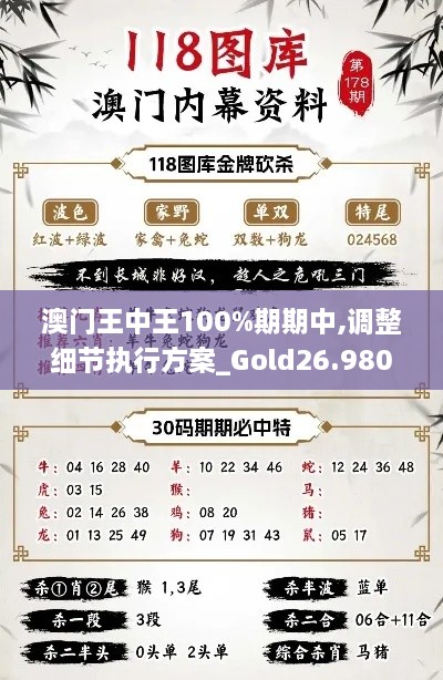 澳门王中王100%期期中,调整细节执行方案_Gold26.980-5