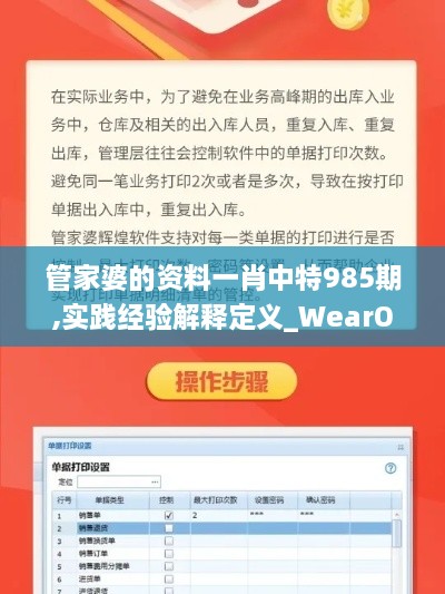 管家婆的资料一肖中特985期,实践经验解释定义_WearOS1.216-1