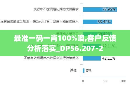 最准一码一肖100%噢,客户反馈分析落实_DP56.207-2