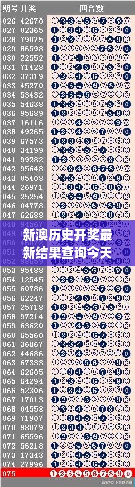 新澳历史开奖最新结果查询今天,数据整合设计解析_X版67.457-2