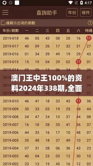 澳门王中王100%的资料2024年338期,全面数据执行方案_nShop54.879-2