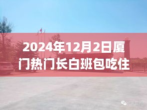 2024年12月3日 第10页