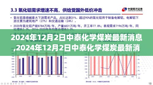 2024年12月2日中泰化学煤炭最新消息解读指南，获取与获取步骤