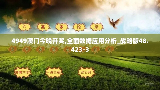 4949澳门今晚开奖,全面数据应用分析_战略版48.423-3