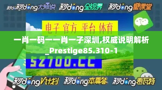 一肖一码一一肖一子深圳,权威说明解析_Prestige85.310-1