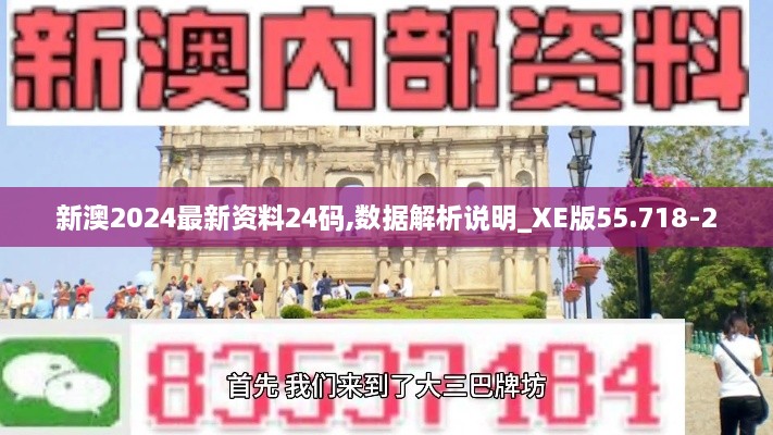 新澳2024最新资料24码,数据解析说明_XE版55.718-2