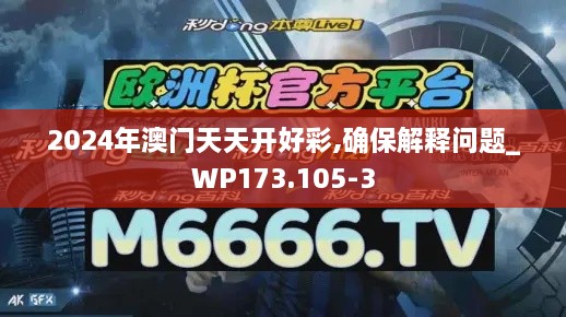 2024年澳门天天开好彩,确保解释问题_WP173.105-3