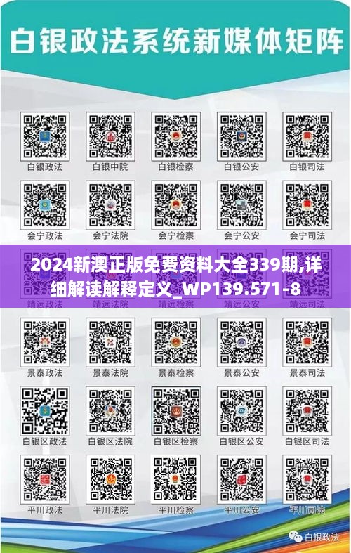 2024新澳正版免费资料大全339期,详细解读解释定义_WP139.571-8