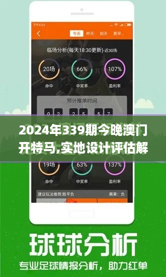 2024年339期今晚澳门开特马,实地设计评估解析_经典款32.792-2