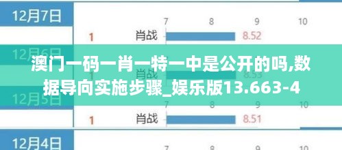 澳门一码一肖一特一中是公开的吗,数据导向实施步骤_娱乐版13.663-4