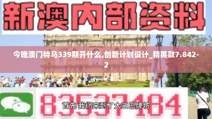 今晚澳门特马339期开什么,创新计划设计_精英款7.842-2