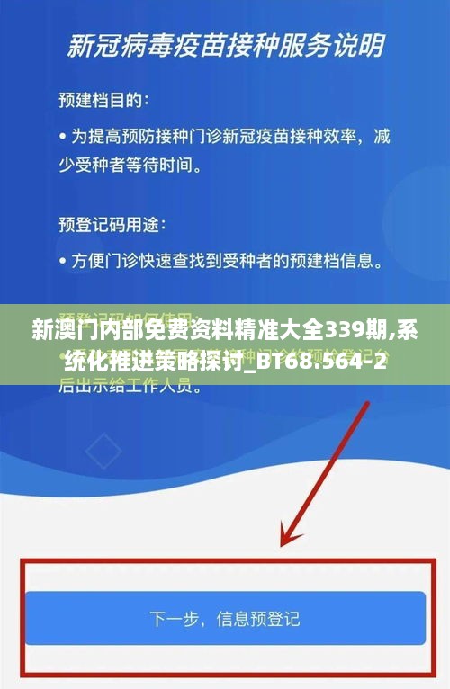 新澳门内部免费资料精准大全339期,系统化推进策略探讨_BT68.564-2