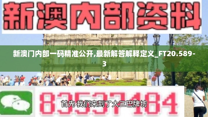 新澳门内部一码精准公开,最新解答解释定义_FT20.589-3