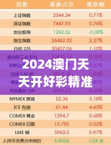 2024澳门天天开好彩精准24码,全面分析解释定义_尊贵款32.624-9