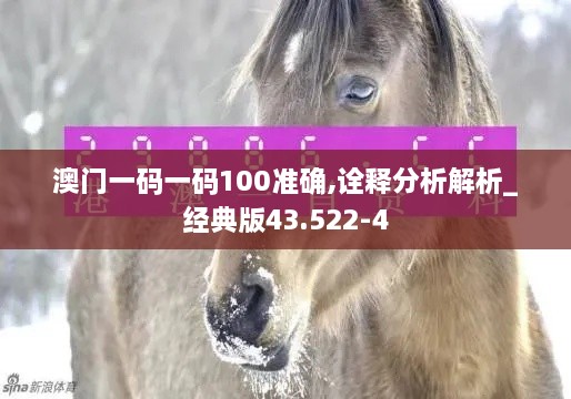 澳门一码一码100准确,诠释分析解析_经典版43.522-4