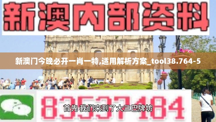 新澳门今晚必开一肖一特,适用解析方案_tool38.764-5