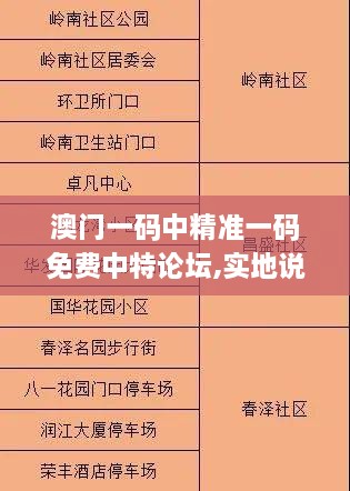 澳门一码中精准一码免费中特论坛,实地说明解析_Notebook87.602-2