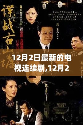 12月2日最新电视连续剧深度探讨，观点与影响解析