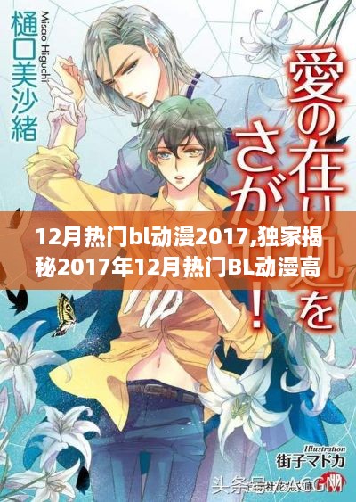 独家揭秘，2017年12月热门BL动漫高科技产品引领潮流革新体验！