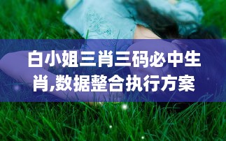 白小姐三肖三码必中生肖,数据整合执行方案_桌面版49.127-8