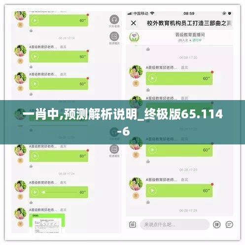 一肖中,预测解析说明_终极版65.114-6