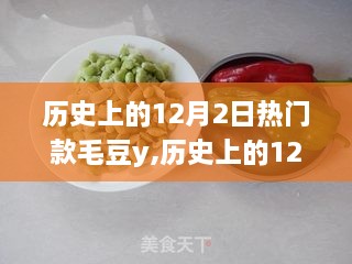 探寻毛豆y的流行轨迹与多元影响，历史上的12月2日热门款毛豆y回顾