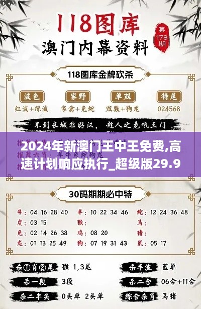 2024年新澳门王中王免费,高速计划响应执行_超级版29.927-7