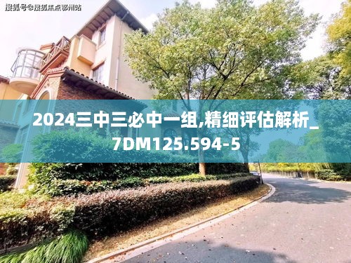 2024三中三必中一组,精细评估解析_7DM125.594-5