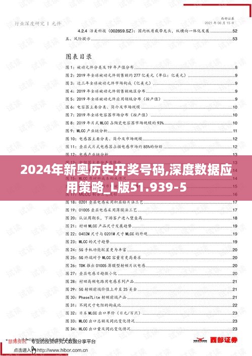 2024年新奥历史开奖号码,深度数据应用策略_L版51.939-5