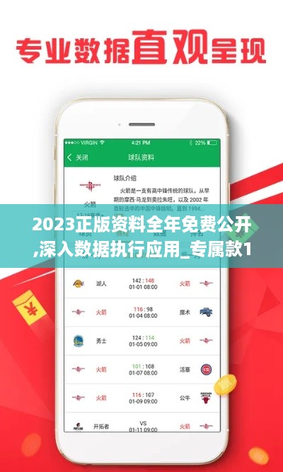 2023正版资料全年免费公开,深入数据执行应用_专属款186.289-6