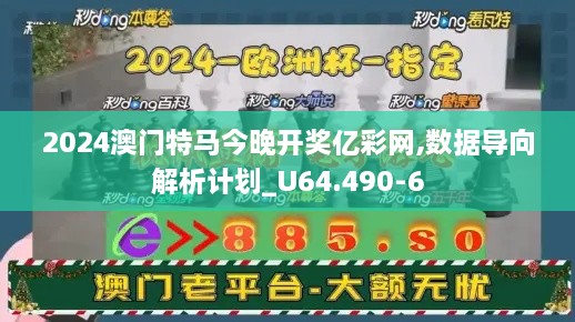 2024澳门特马今晚开奖亿彩网,数据导向解析计划_U64.490-6