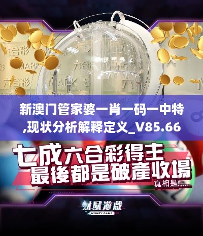 新澳门管家婆一肖一码一中特,现状分析解释定义_V85.666-1